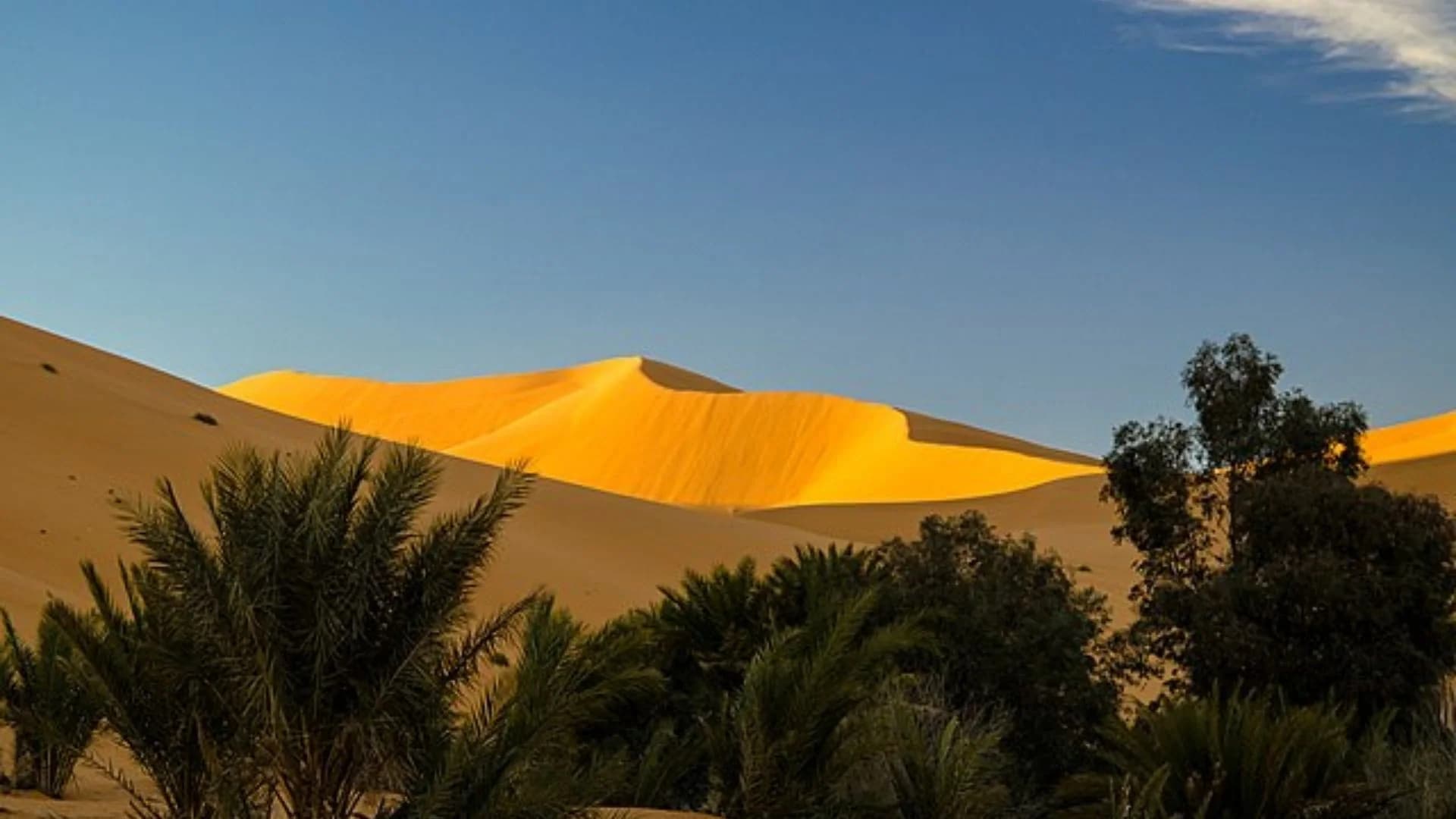 Todgha, étape du circuit Marrakech Merzouga