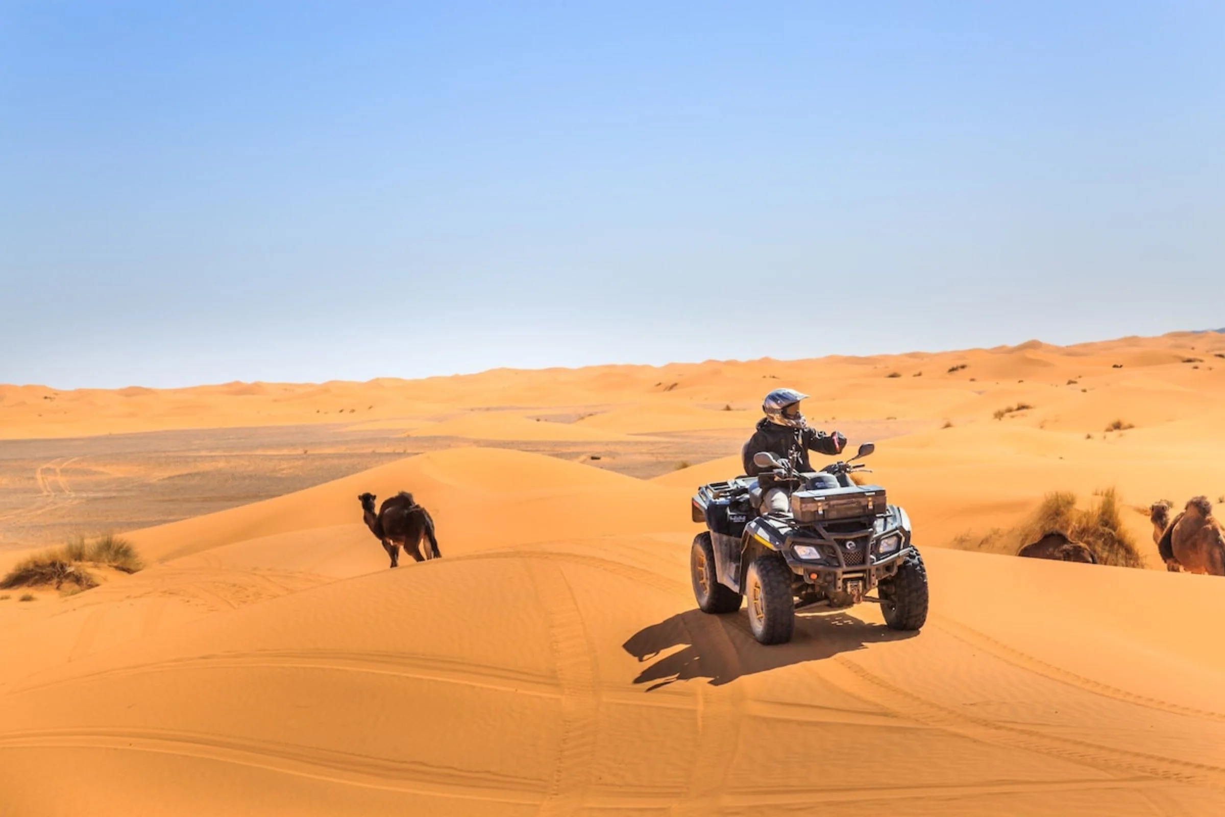 Groupe de voyageurs dans le désert de Merzouga